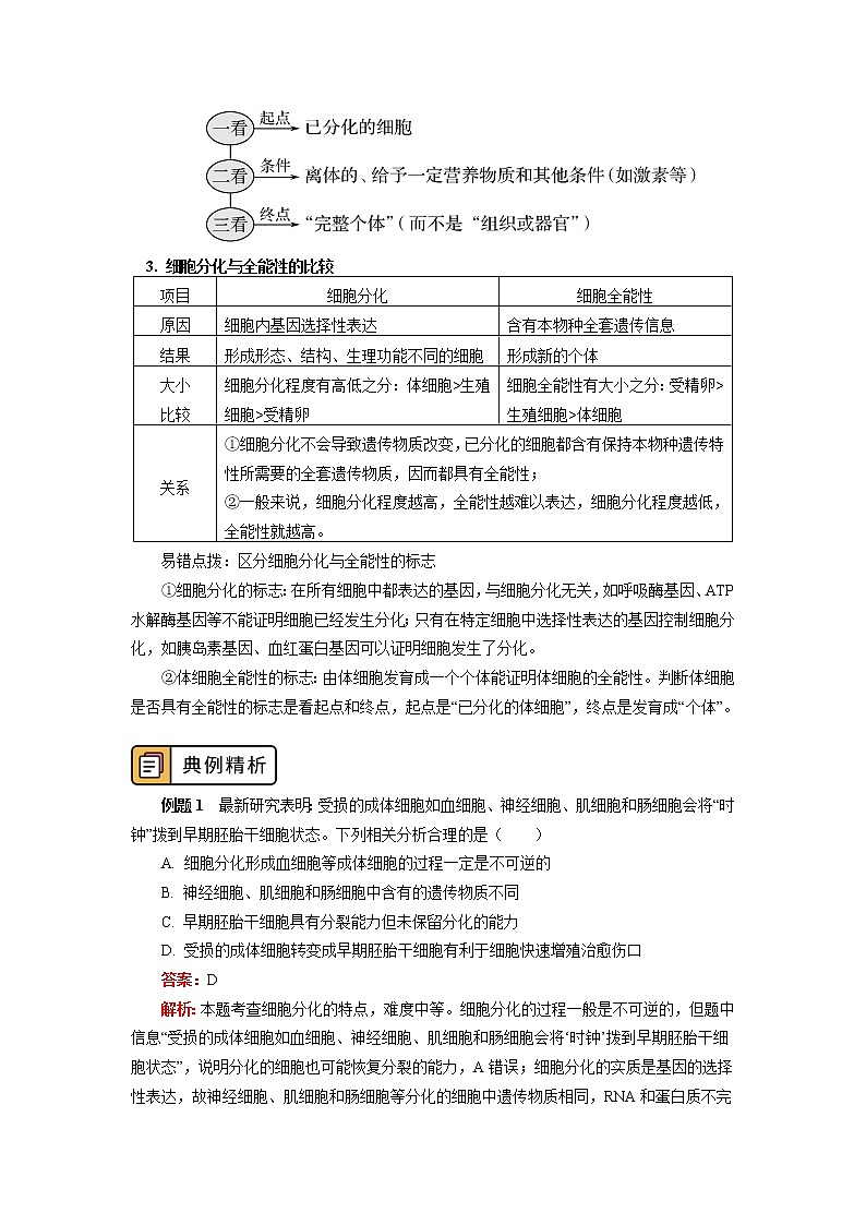 2020-2021学年高一上学期生物人教版（2019）必修一 第6章 细胞的生命历程 第2、3节 学案03