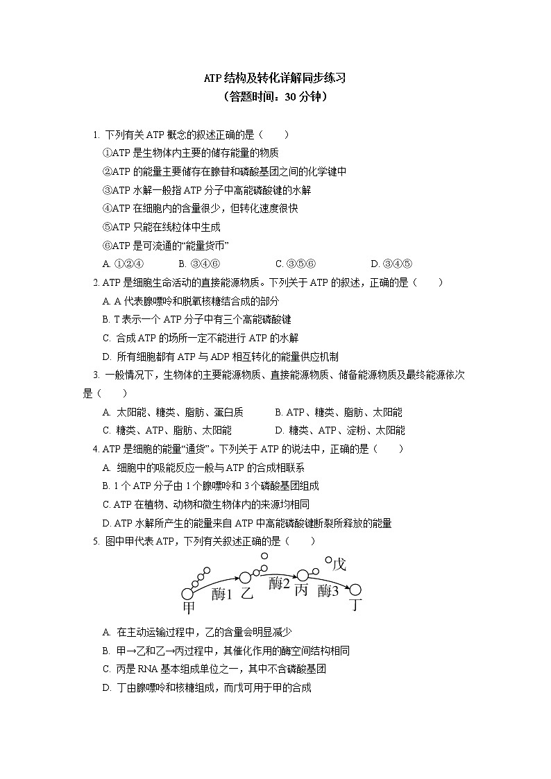 2020-2021学年高一上学期生物人教版（2019）必修一ATP结构及转化详解同步练习01