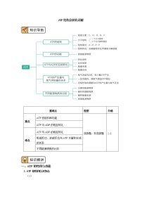 高中生物人教版 (2019)必修1《分子与细胞》第2节 细胞的能量“货币”ATP优质导学案及答案