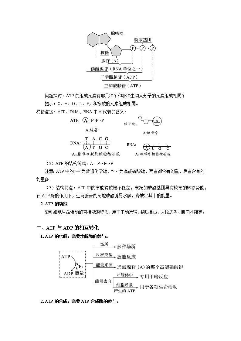 2020-2021学年高一上学期生物人教版（2019）必修一ATP结构及转化详解 学案02
