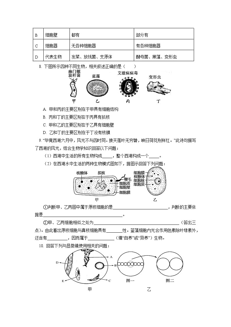 2020-2021学年高一上学期生物人教版（2019）必修一第1章 走近细胞同步练习02