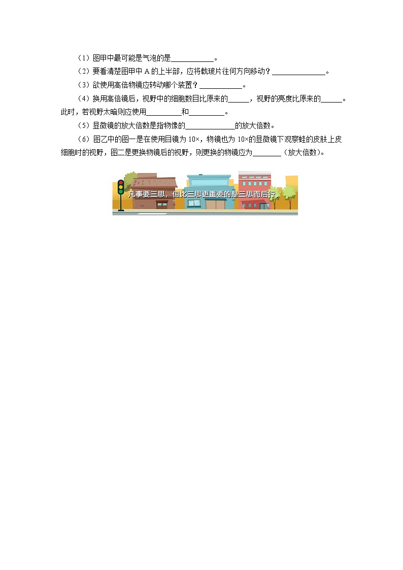 2020-2021学年高一上学期生物人教版（2019）必修一第1章 走近细胞同步练习03