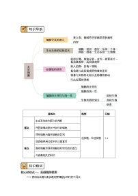 人教版 (2019)必修1《分子与细胞》第5章 细胞的能量供应和利用第3节 细胞呼吸的原理和应用精品学案设计