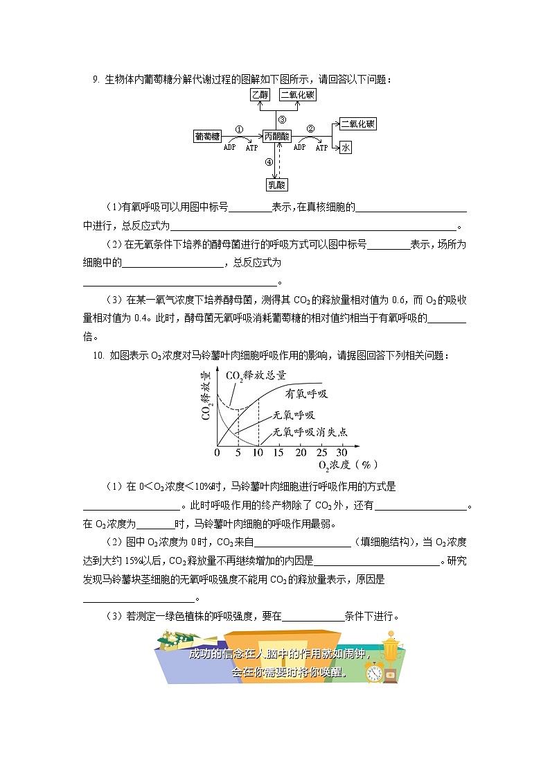 2020-2021学年高一上学期生物人教版（2019）必修一 第5章 细胞的能量供应和利用 第3节同步练习第3页