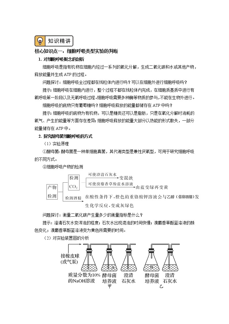 2020-2021学年高一上学期生物人教版（2019）必修一第5章 细胞的能量供应和利用 第3节 学案02