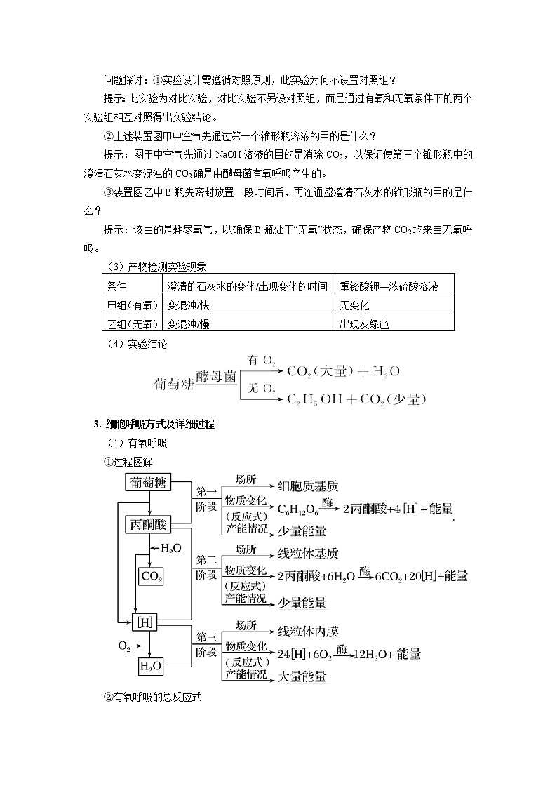 2020-2021学年高一上学期生物人教版（2019）必修一第5章 细胞的能量供应和利用 第3节 学案03