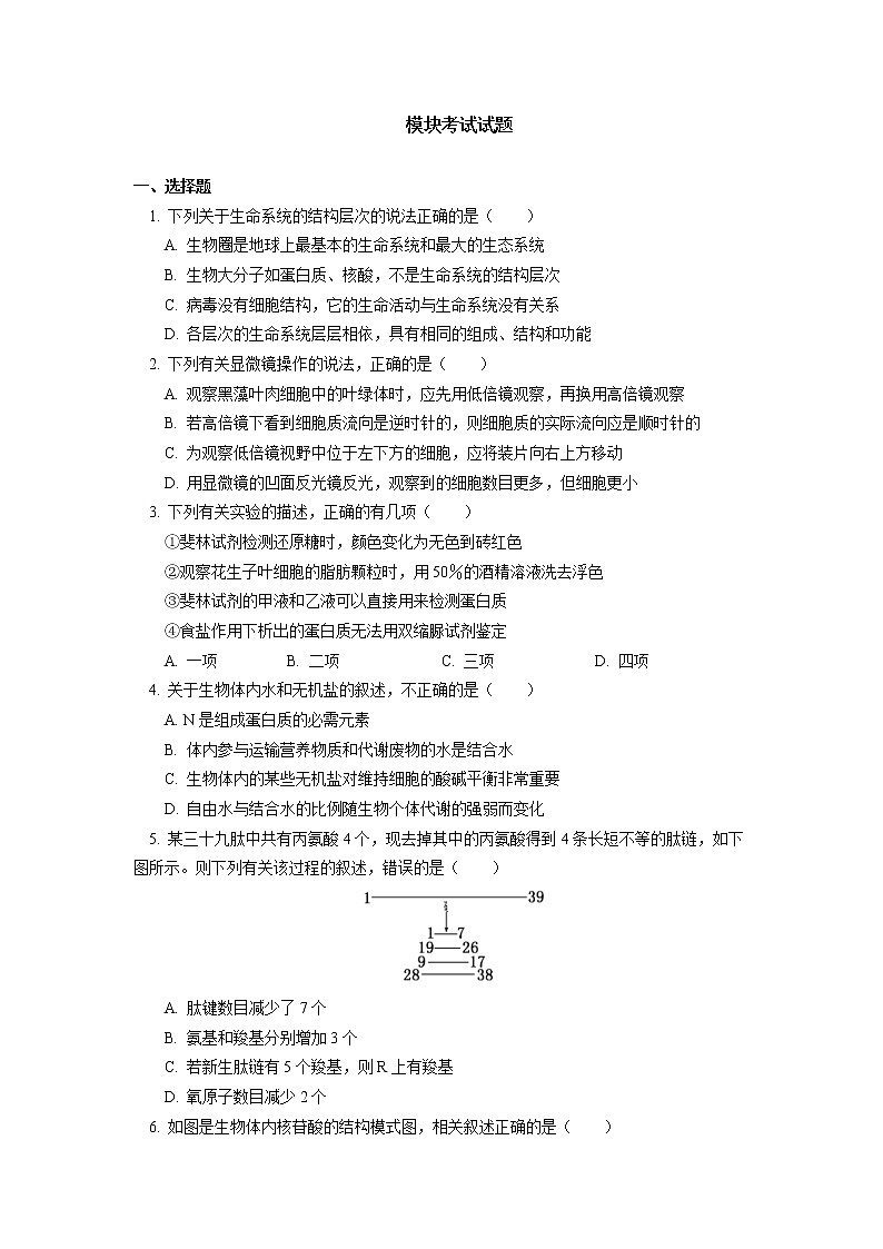 2020-2021学年高一上学期生物人教版（2019）必修一 模块考试试卷讲评01