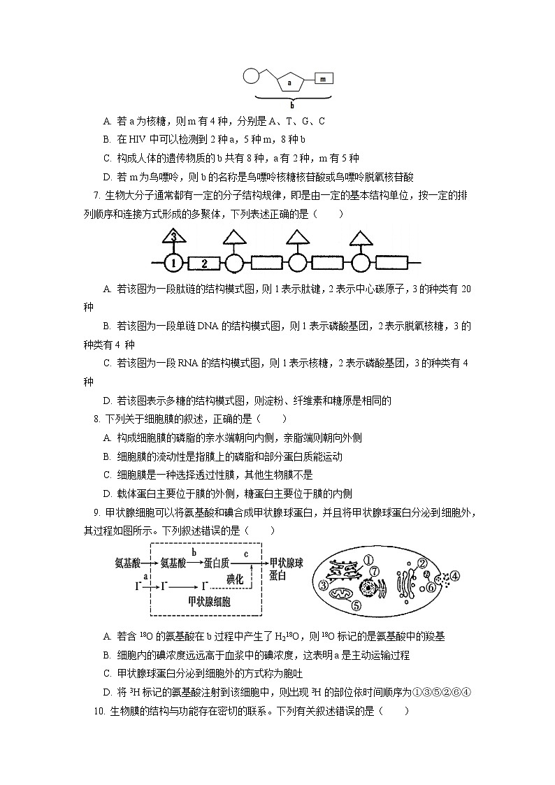 2020-2021学年高一上学期生物人教版（2019）必修一 模块考试试卷讲评02