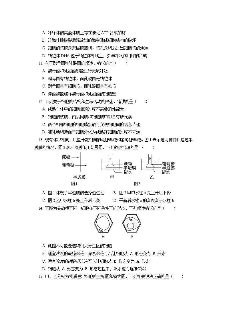 2020-2021学年高一上学期生物人教版（2019）必修一 模块考试试卷讲评03