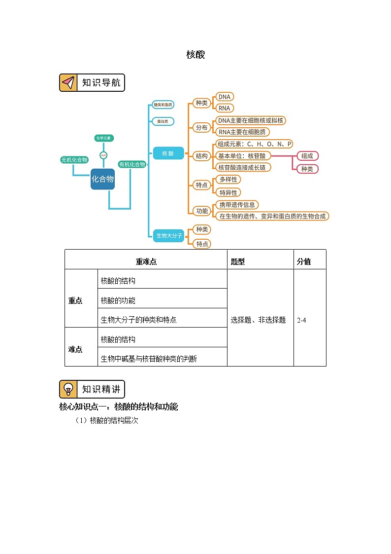 2020-2021学年高一上学期生物人教版（2019）必修一核酸 学案01