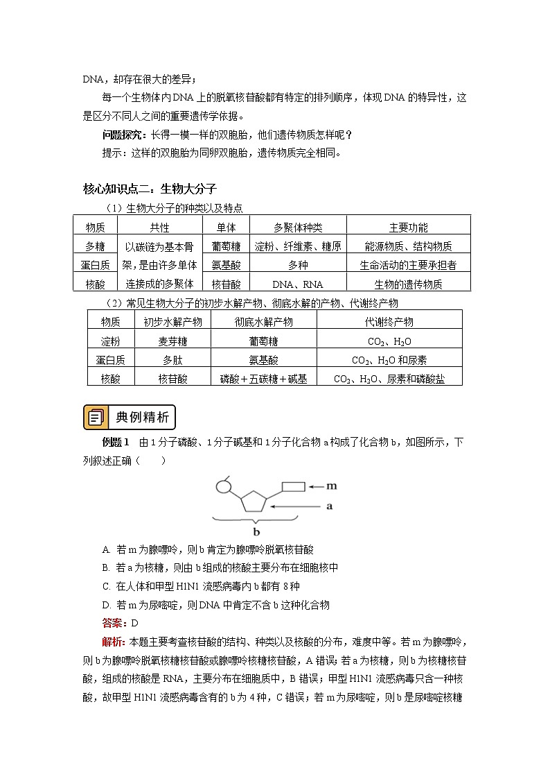 2020-2021学年高一上学期生物人教版（2019）必修一核酸 学案03