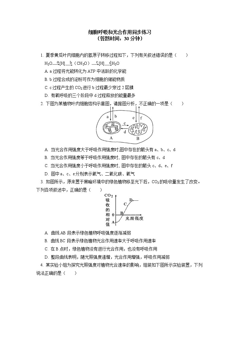 2020-2021学年高一上学期生物人教版（2019）必修一专题 ：光合作用和细胞呼吸同步练习01
