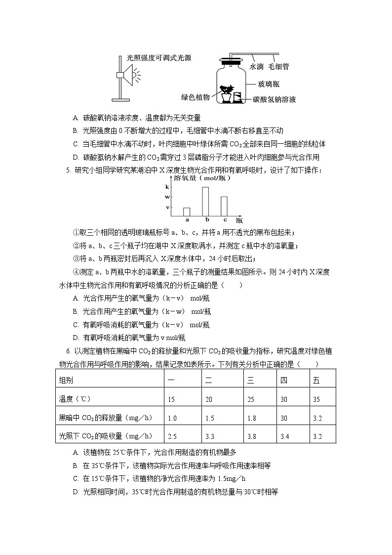 2020-2021学年高一上学期生物人教版（2019）必修一专题 ：光合作用和细胞呼吸同步练习02