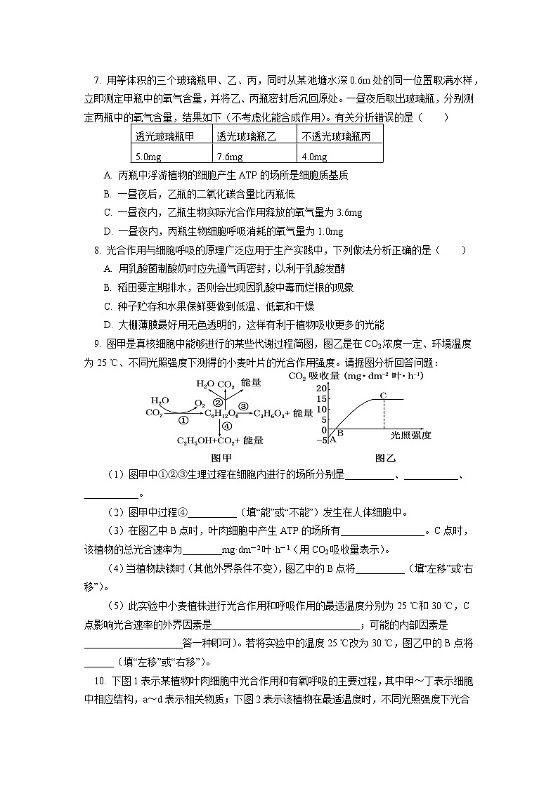 2020-2021学年高一上学期生物人教版（2019）必修一专题 ：光合作用和细胞呼吸同步练习03