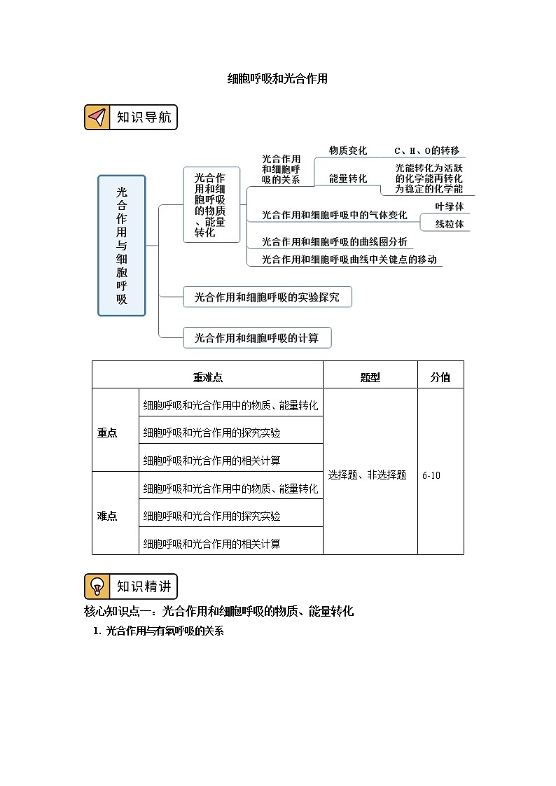 2020-2021学年高一上学期生物人教版（2019）必修一专题 ：光合作用和细胞呼吸01
