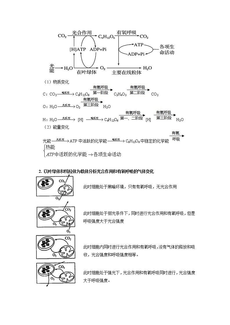 2020-2021学年高一上学期生物人教版（2019）必修一专题 ：光合作用和细胞呼吸02