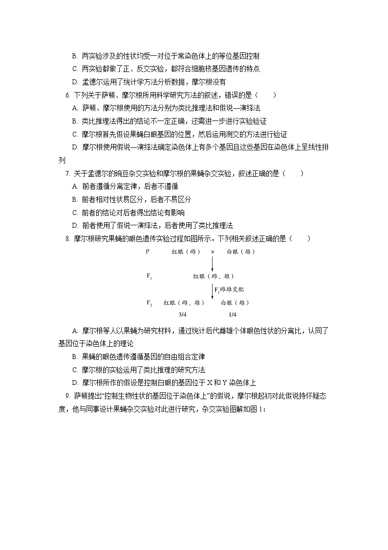 人教版 2020-2021学年高一上学期生物人教版（2019）必修二 基因在染色体上同步练习（含答案）02