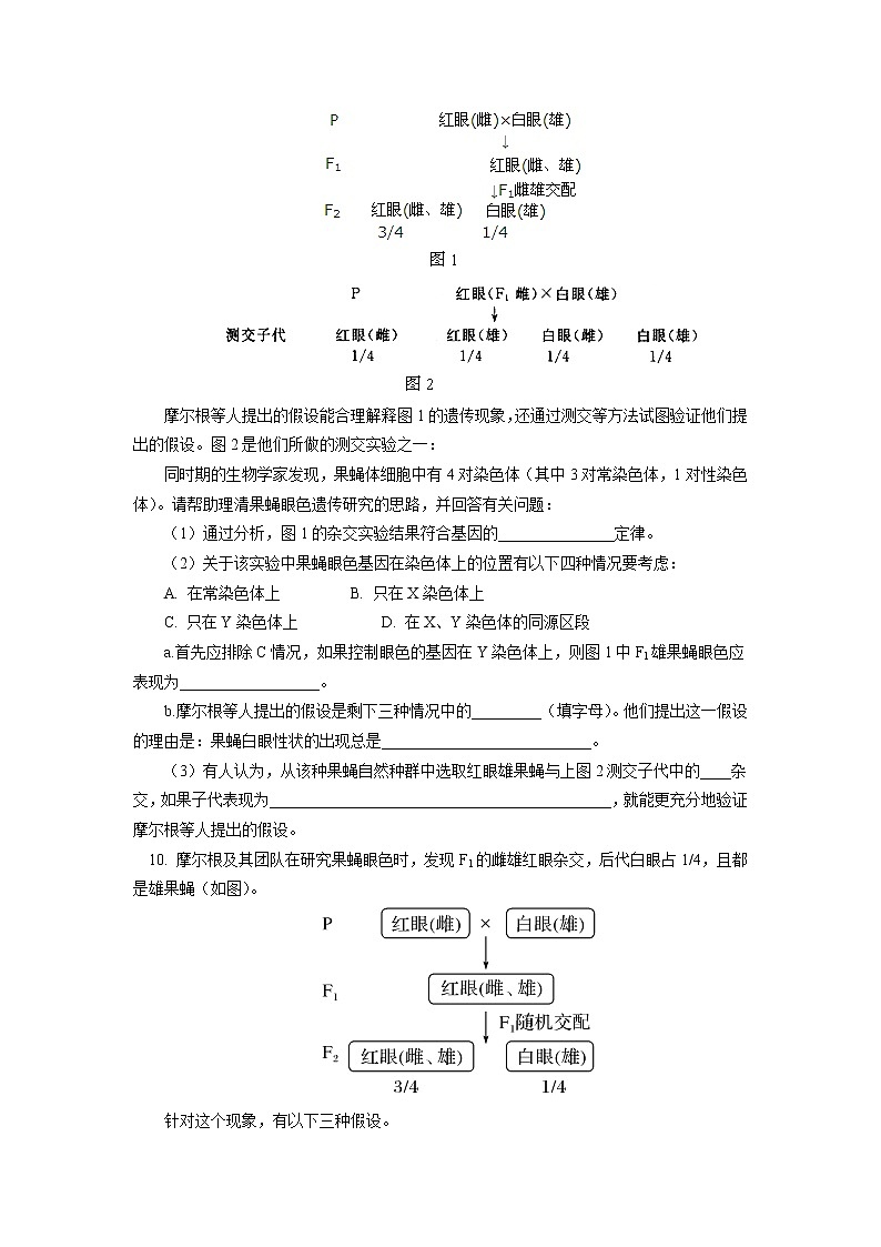 人教版 2020-2021学年高一上学期生物人教版（2019）必修二 基因在染色体上同步练习（含答案）03