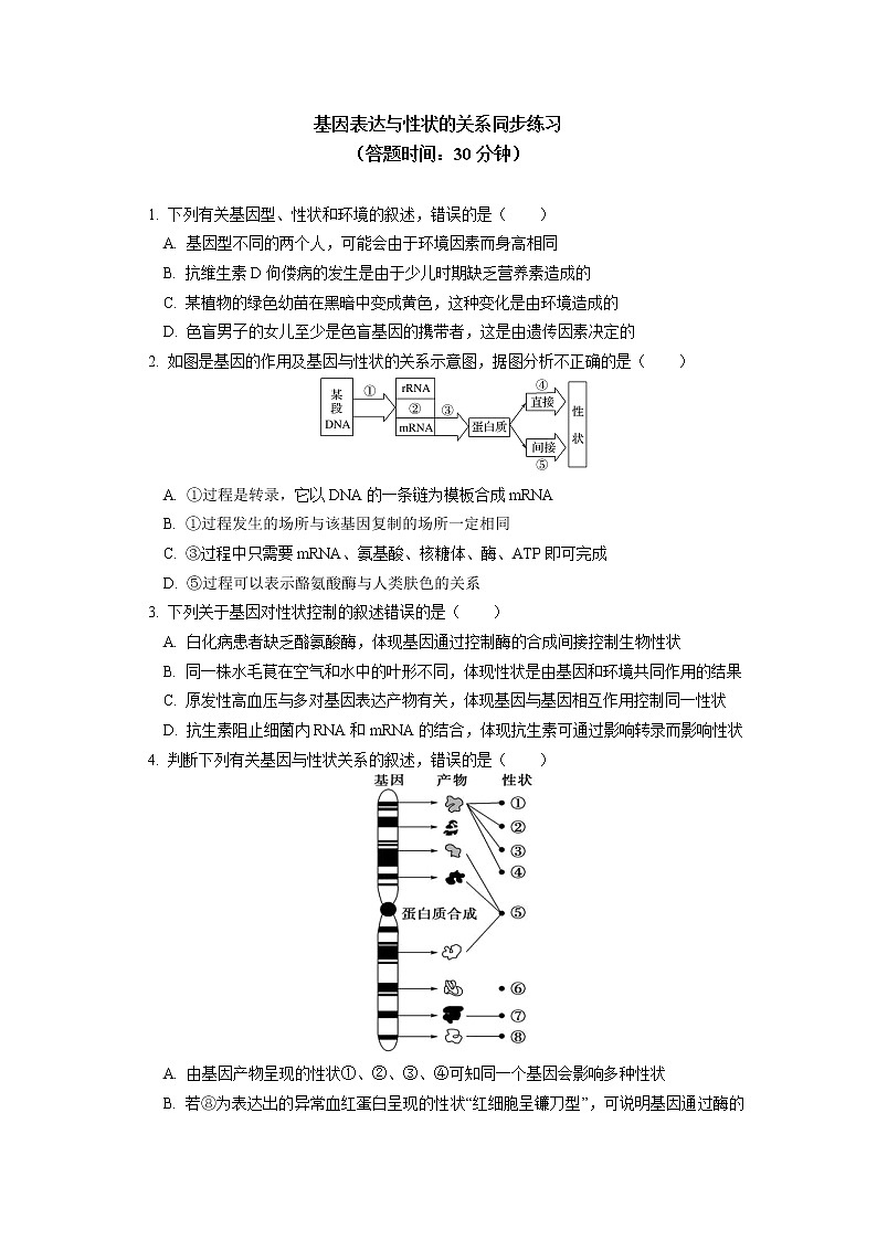 2020-2021学年高一上学期生物人教版（2019）必修二 基因表达与性状的关系同步练习（含答案）第1页