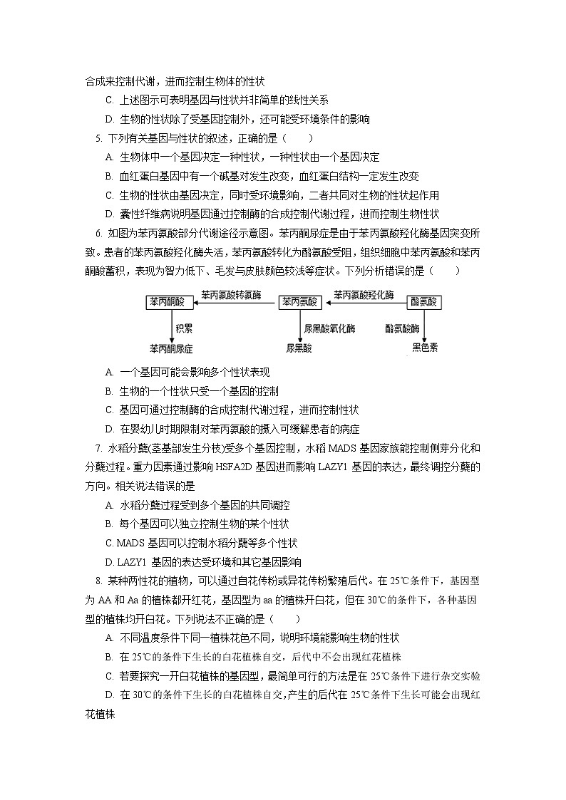 2020-2021学年高一上学期生物人教版（2019）必修二 基因表达与性状的关系同步练习（含答案）第2页