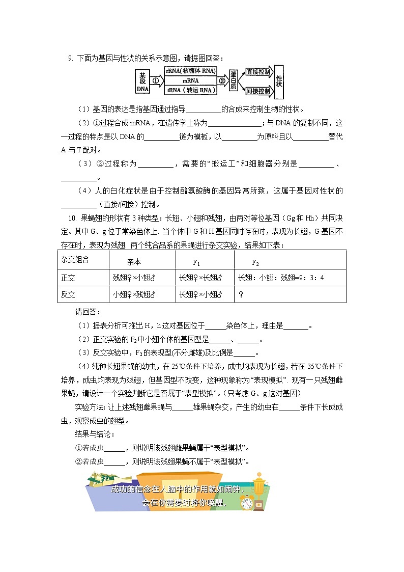 2020-2021学年高一上学期生物人教版（2019）必修二 基因表达与性状的关系同步练习（含答案）第3页