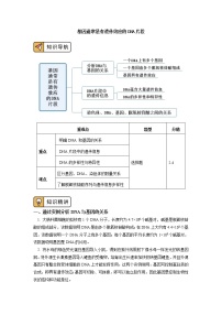 生物必修2《遗传与进化》第4节 基因通常是有遗传效应的DNA片段学案设计