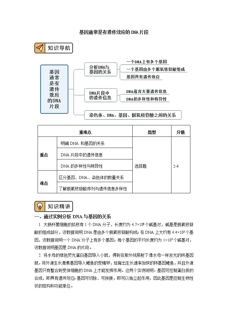 2020-2021学年高一上学期生物人教版（2019）必修二 基因通常是有遗传效应的DNA片段 学案第1页