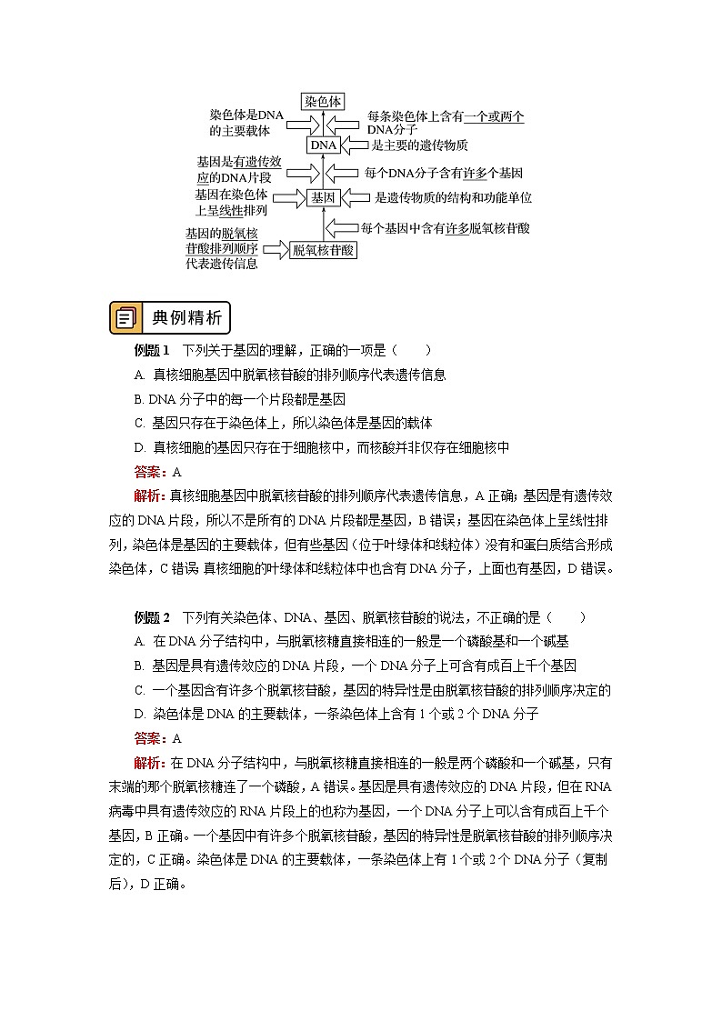 2020-2021学年高一上学期生物人教版（2019）必修二 基因通常是有遗传效应的DNA片段 学案第3页