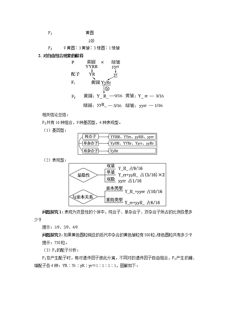 2020-2021学年高一上学期生物人教版（2019）必修二  第1章 遗传因子的发现第二节 学案02