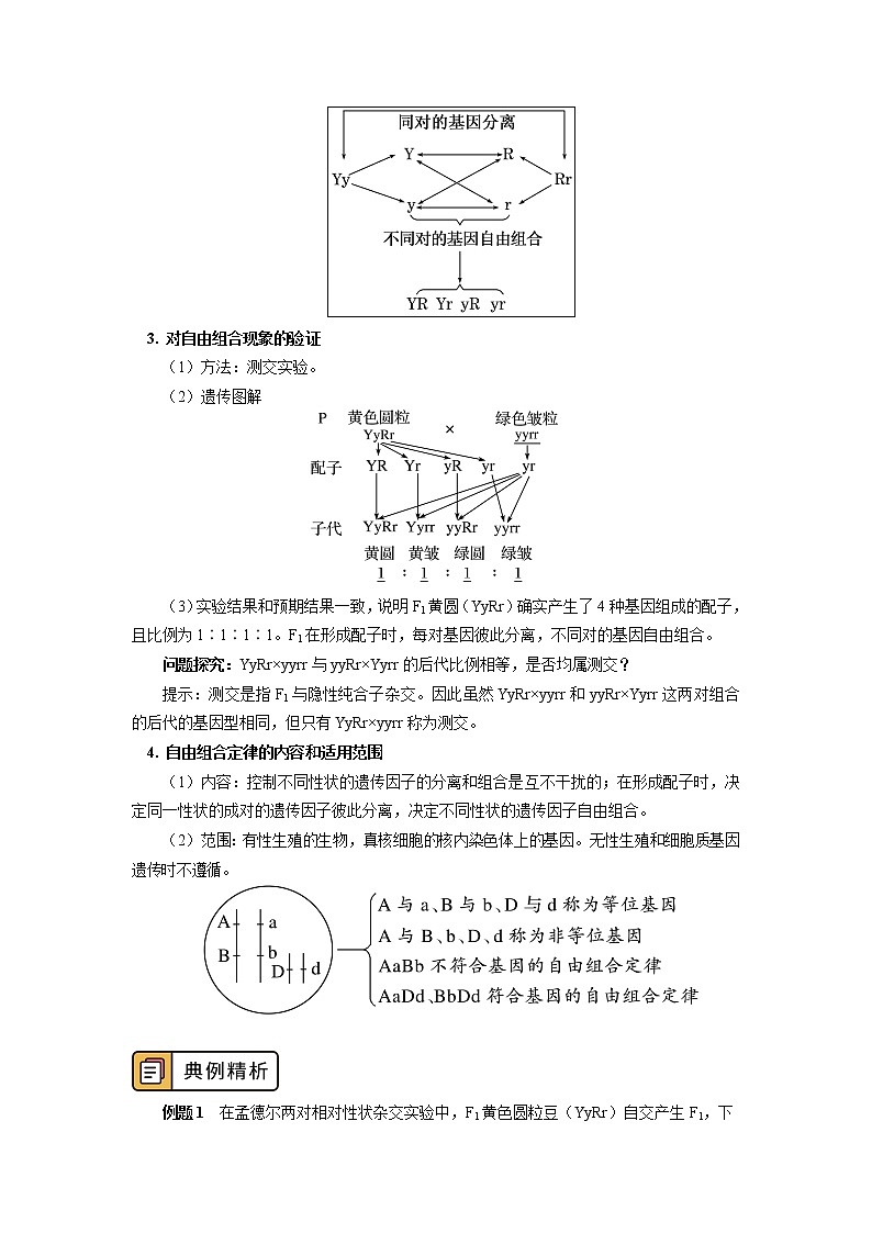 2020-2021学年高一上学期生物人教版（2019）必修二  第1章 遗传因子的发现第二节 学案03