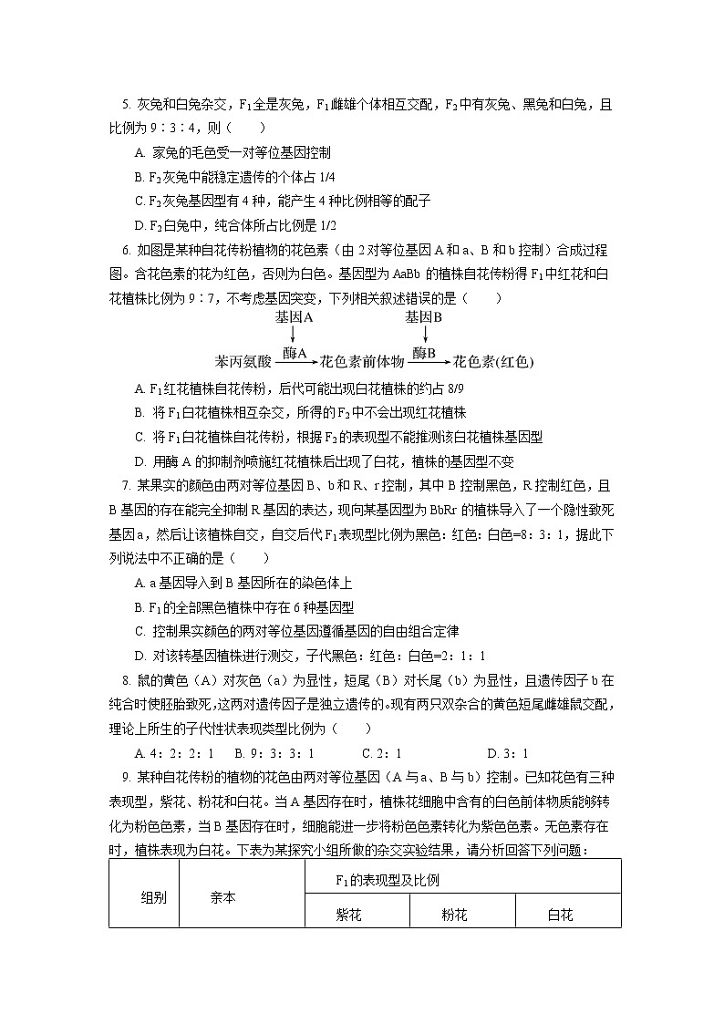 2020-2021学年高一上学期生物人教版（2019）必修二  第1章 遗传因子的发现第二节同步练习（含答案）02