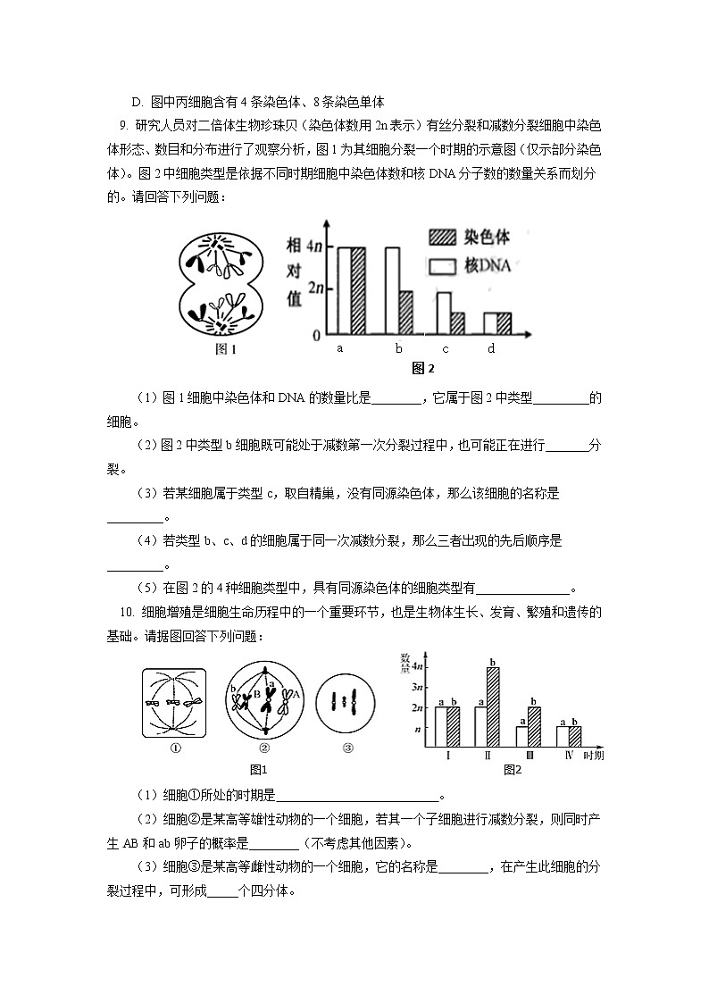 2020-2021学年高一上学期生物人教版（2019）必修二  第2章 基因和染色体的关系 第一节同步练习（含答案）第3页