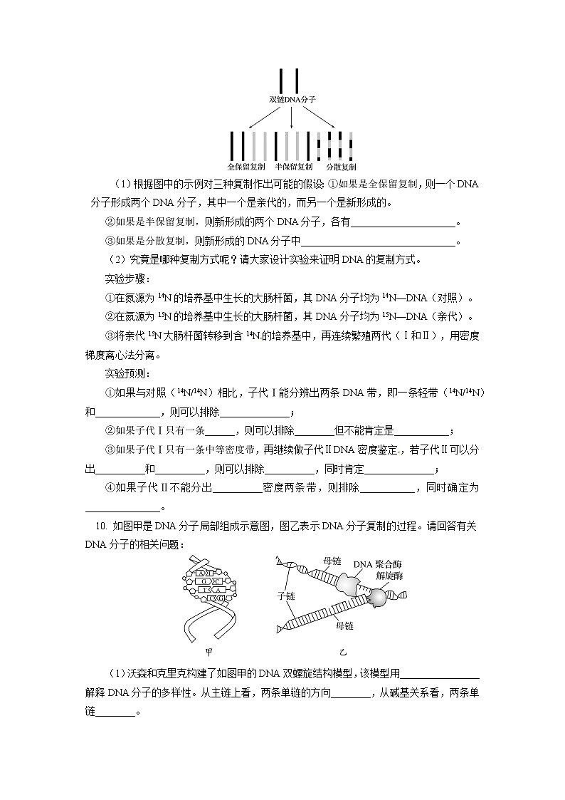 2020-2021学年高一上学期生物人教版（2019）必修二  第3章 基因的本质 第三节同步练习（含答案）第3页