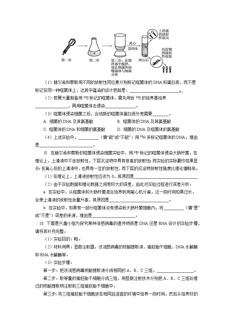 2020-2021学年高一上学期生物人教版（2019）必修二  第3章 基因的本质 第一节同步练习（含答案）第3页