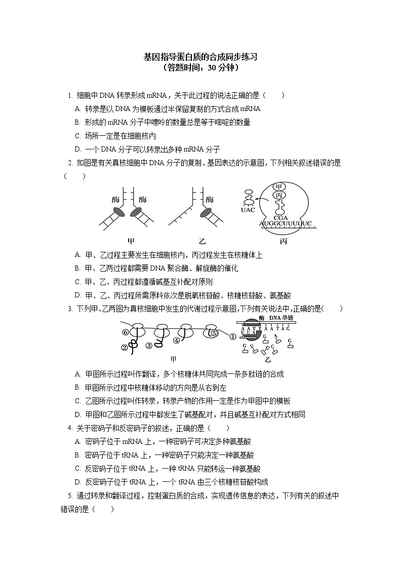 2020-2021学年高一上学期生物人教版（2019）必修二  第4章 基因的表达 第一节同步练习（含答案）01