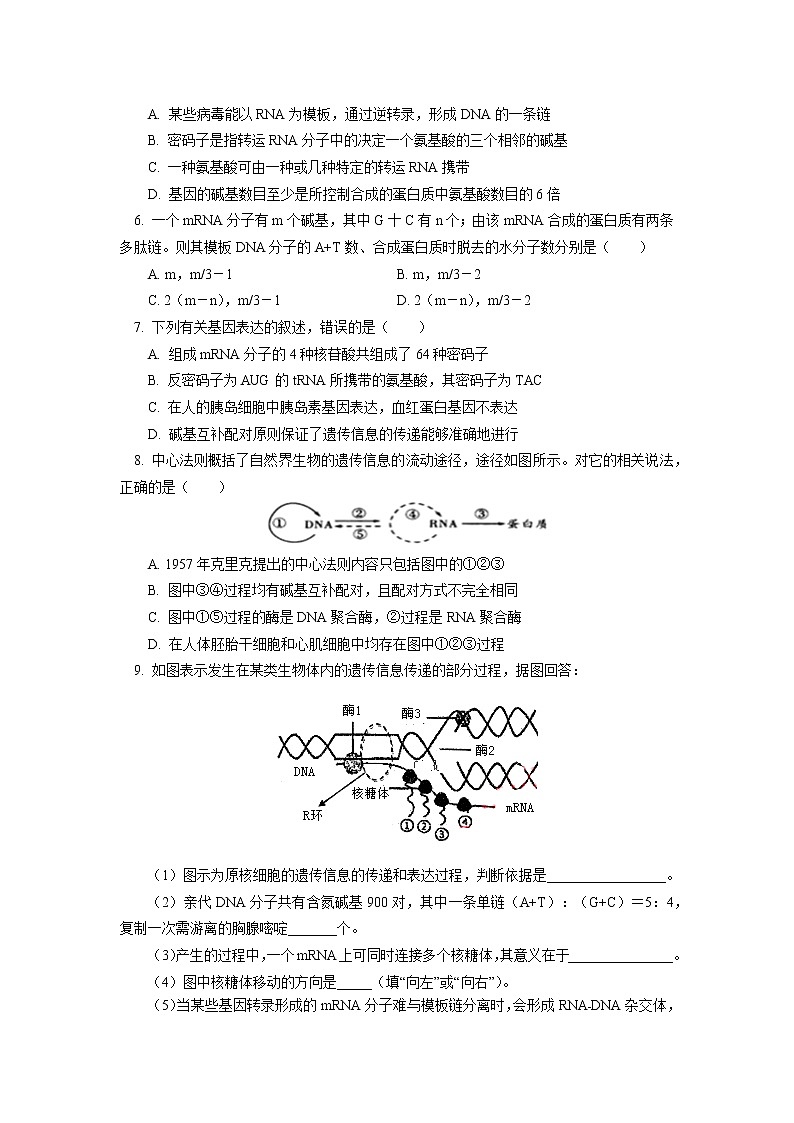 2020-2021学年高一上学期生物人教版（2019）必修二  第4章 基因的表达 第一节同步练习（含答案）02