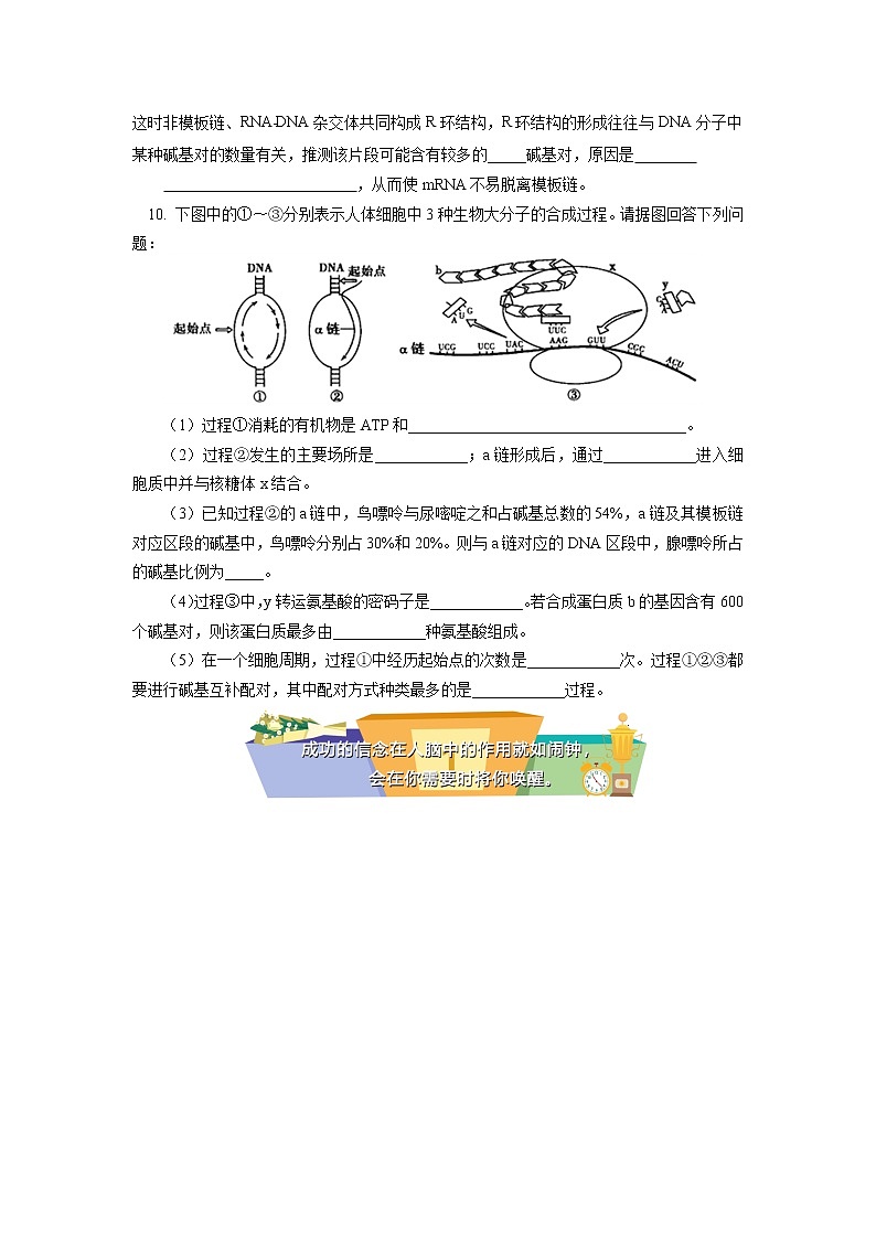 2020-2021学年高一上学期生物人教版（2019）必修二  第4章 基因的表达 第一节同步练习（含答案）03