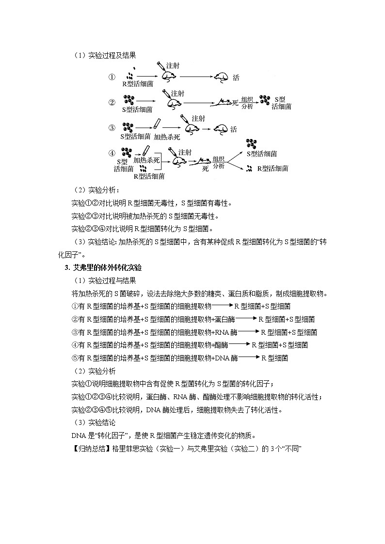 2020-2021学年高一上学期生物人教版（2019）必修二  第3章 基因的本质 第一节 学案第2页