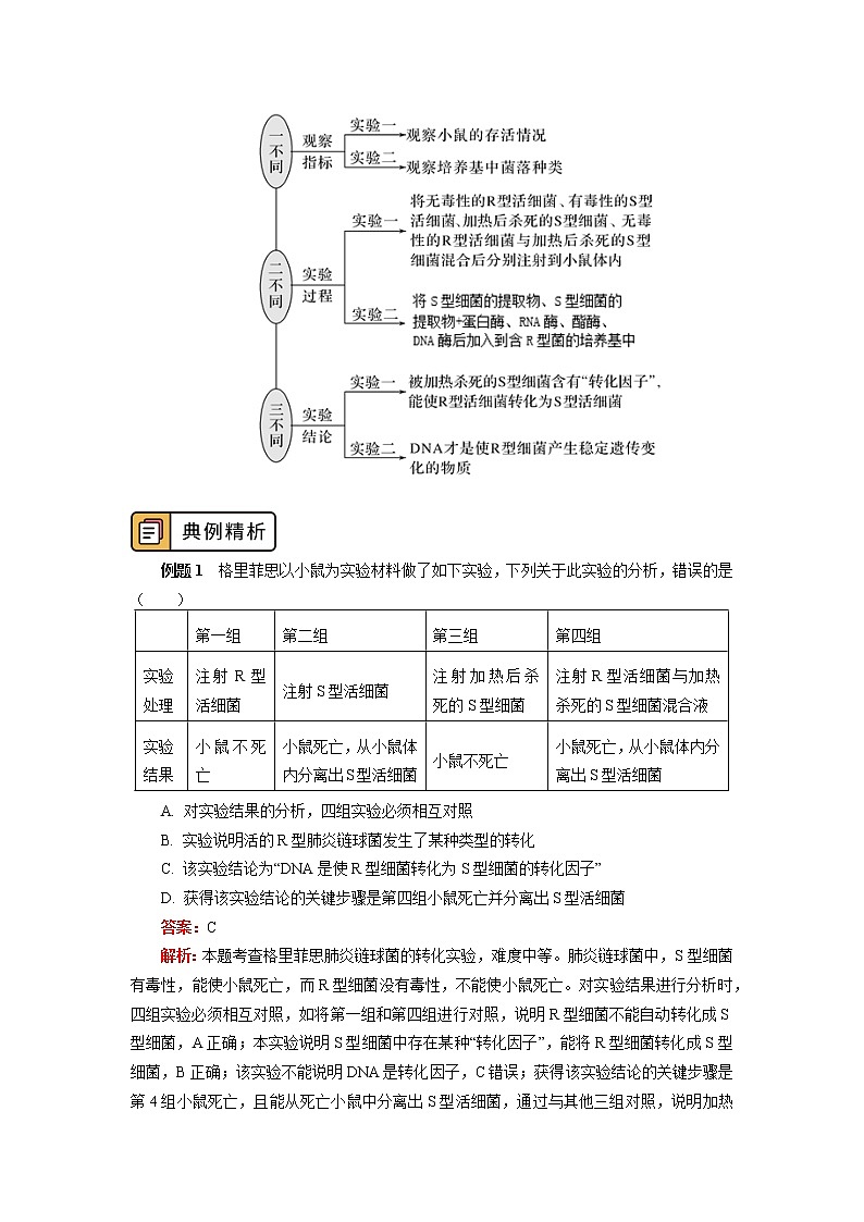 2020-2021学年高一上学期生物人教版（2019）必修二  第3章 基因的本质 第一节 学案第3页