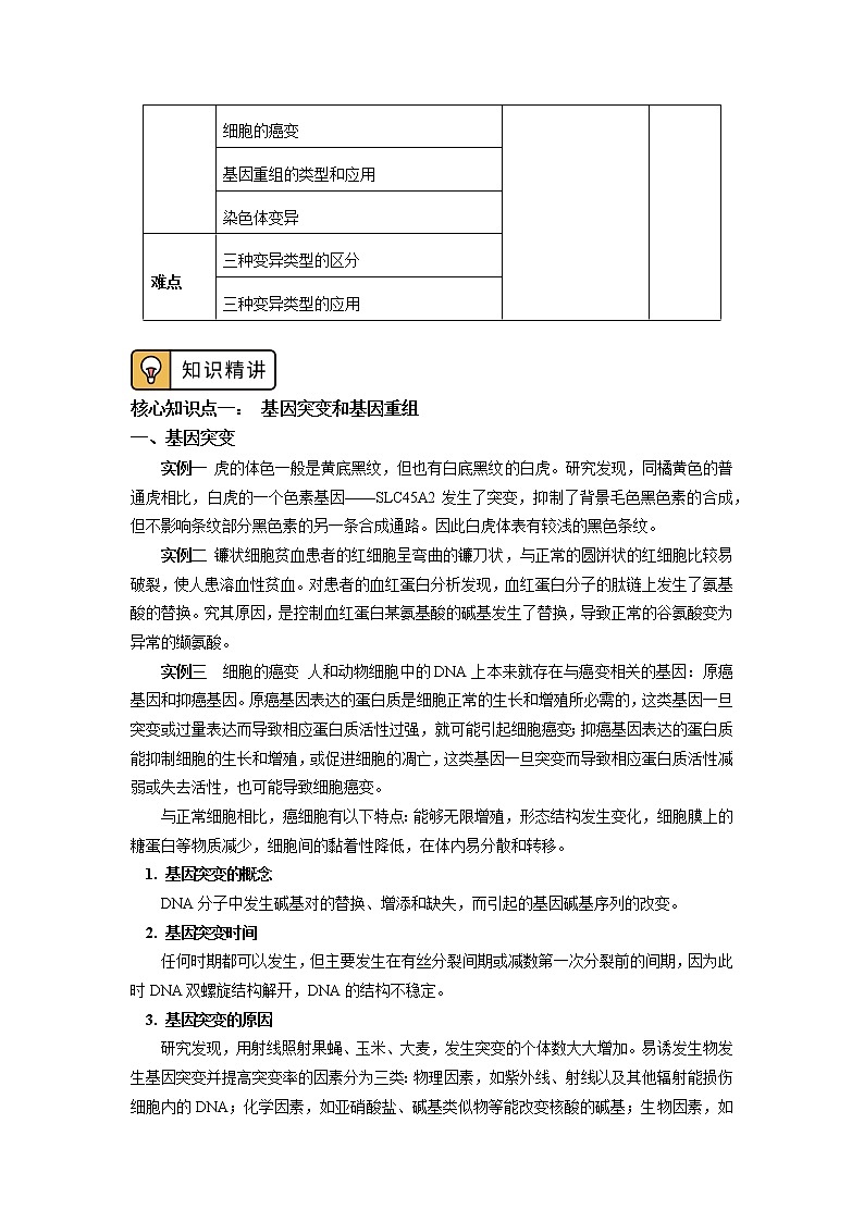 2020-2021学年高一上学期生物人教版（2019）必修二  第5章 基因突变及其他变异 第一、二节 学案02