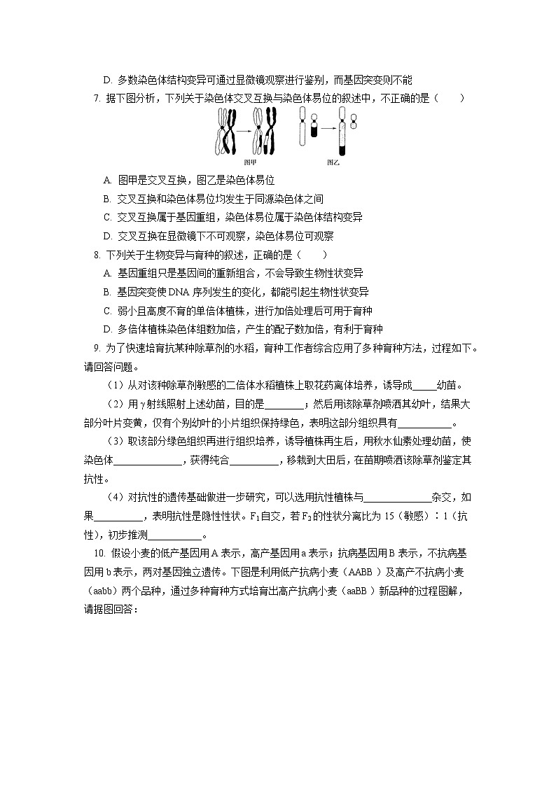 2020-2021学年高一上学期生物人教版（2019）必修二  第5章 基因突变及其他变异 第一、二节同步练习（含答案）02