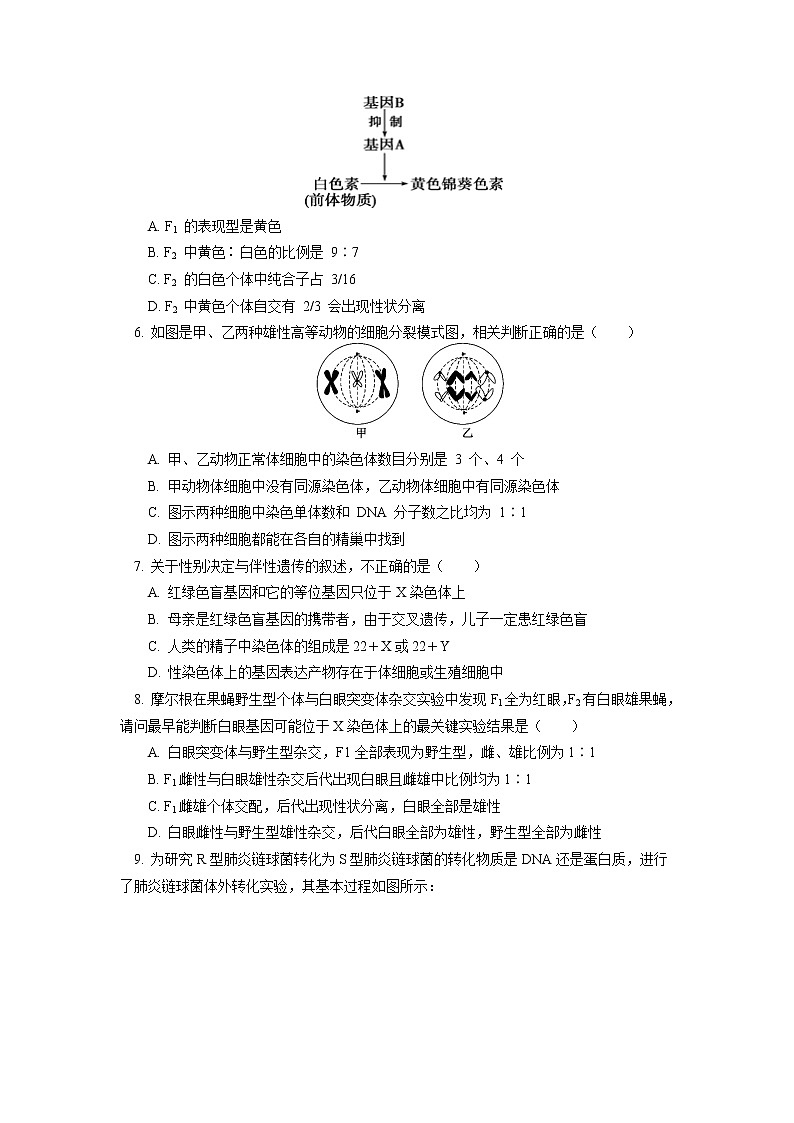 2020-2021学年高一上学期生物人教版（2019）必修二  模块考试试卷讲评同步练习（含答案）02