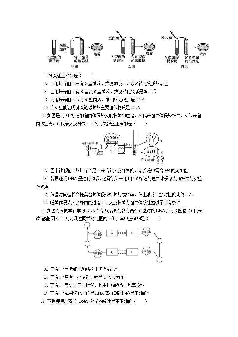 2020-2021学年高一上学期生物人教版（2019）必修二  模块考试试卷讲评同步练习（含答案）03