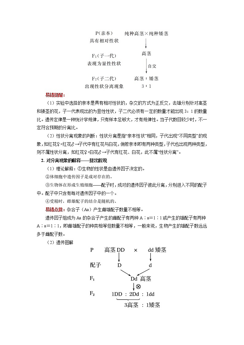 2020-2021学年高一上学期生物人教版（2019）必修二 第1章 遗传因子的发现 第一节（1）学案03