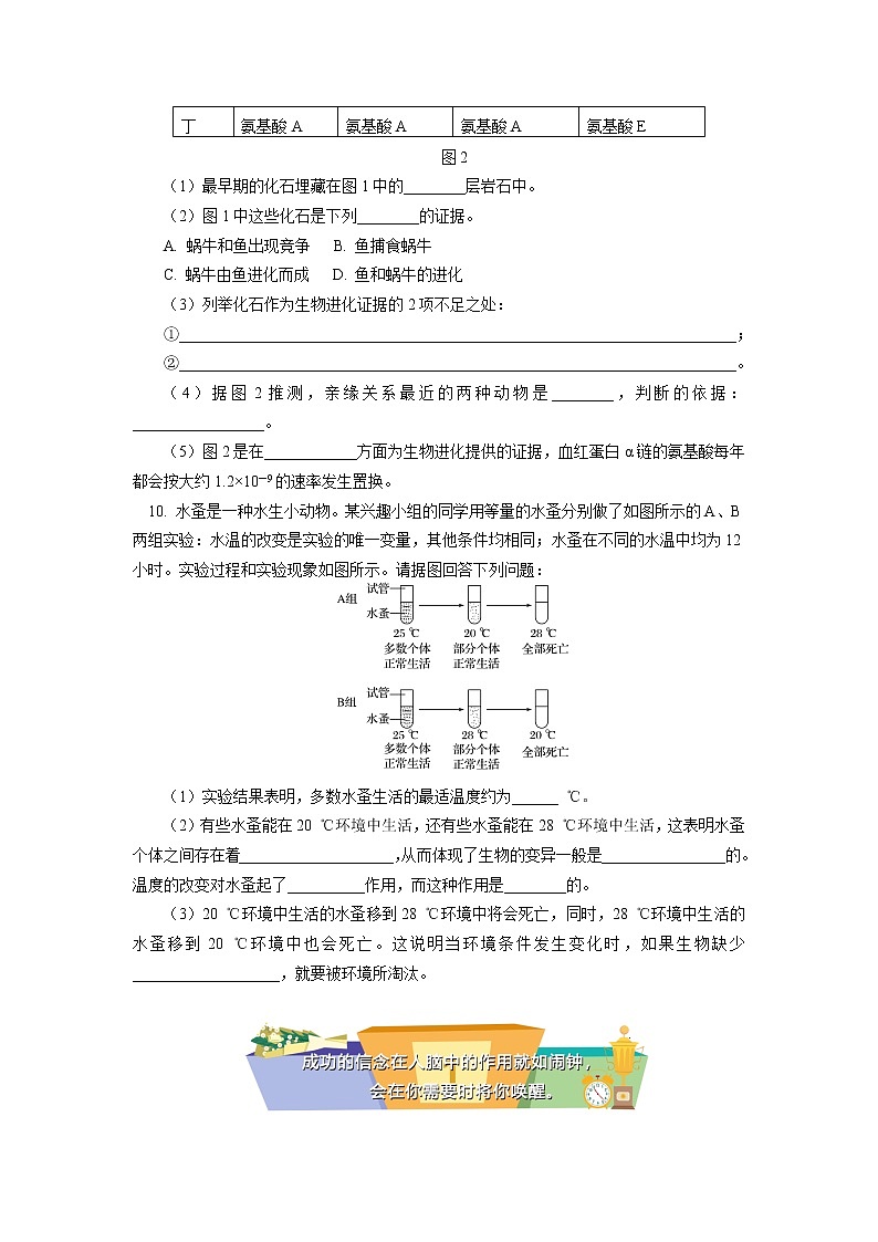 2020-2021学年高一上学期生物人教版（2019）必修二 第6章 生物的进化 第一、二节同步练习（含答案）03