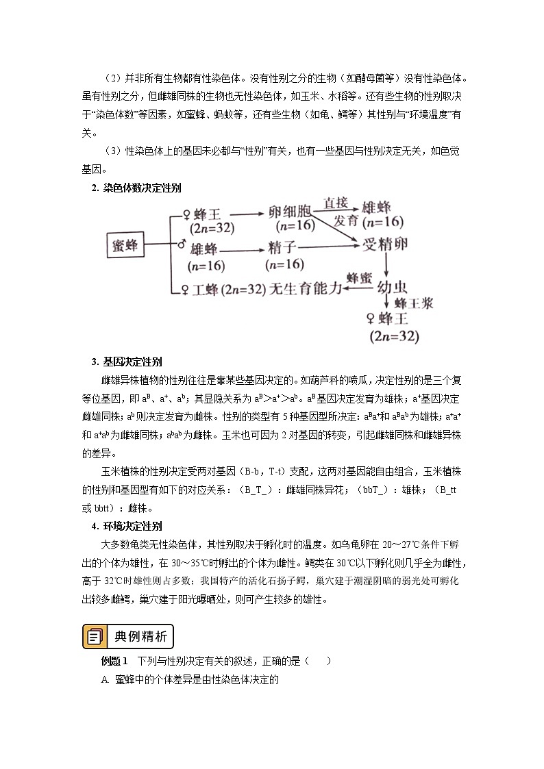 2020-2021学年高一上学期生物人教版（2019）必修二 第2章 基因和染色体的关系 第三节 学案03