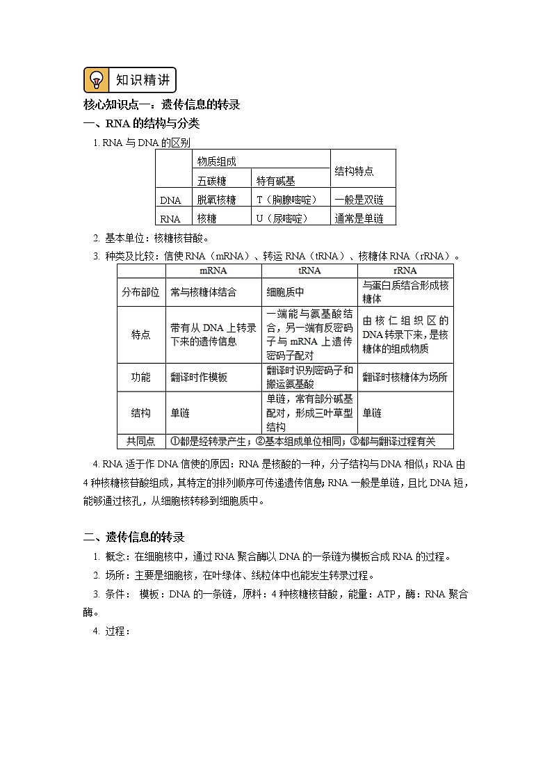 2020-2021学年高一上学期生物人教版（2019）必修二 第4章 基因的表达 第一节 学案02