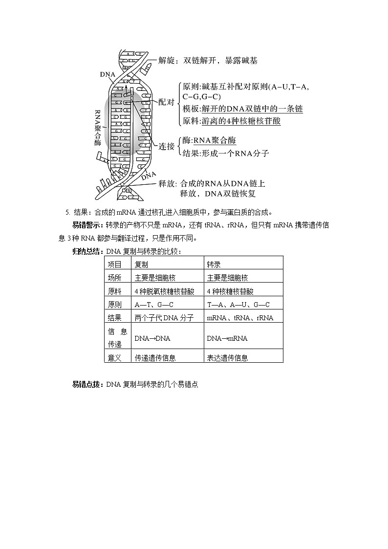 2020-2021学年高一上学期生物人教版（2019）必修二 第4章 基因的表达 第一节 学案03