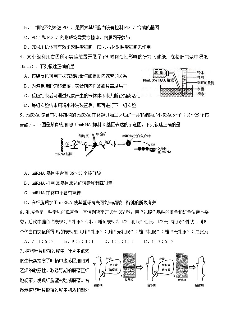 江苏省启东市2021届高三上学期期中考试 生物(含答案)02