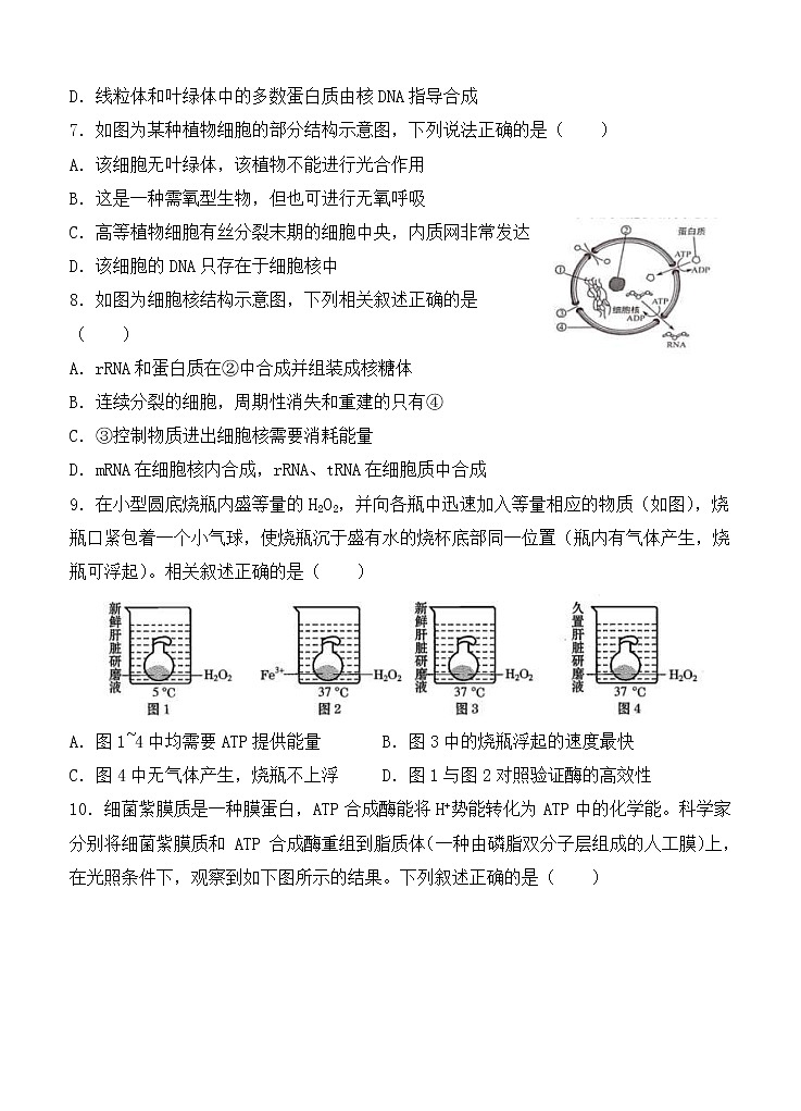 陕西省西安市第一中学2021届高三上学期第五次模拟考试 生物(含答案)03